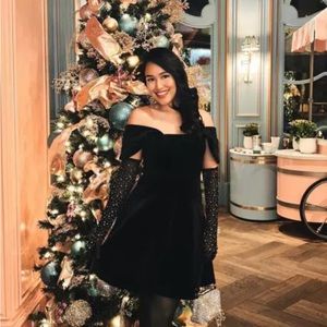 NWT! Little black velvet cocktail dress. Express size small. A holiday favorite